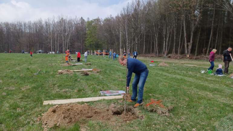 Obstbaum – Pflanzaktion