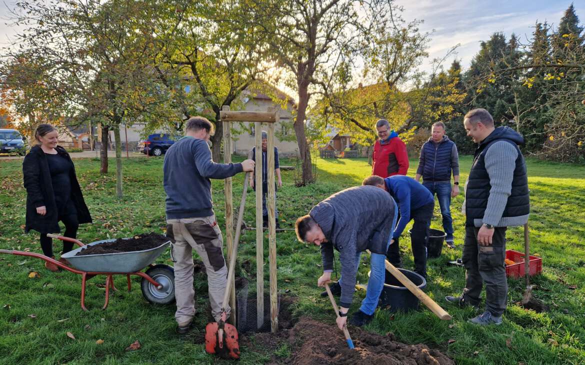 Gewusst wie?! Baumpflanzung & Workshop in Wildenhain