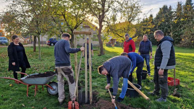 Gewusst wie?! Baumpflanzung & Workshop in Wildenhain